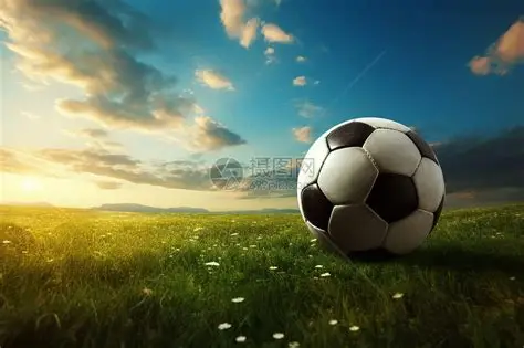 开云·体育(kaiyun)官方网站_KAIYUN SPORTS